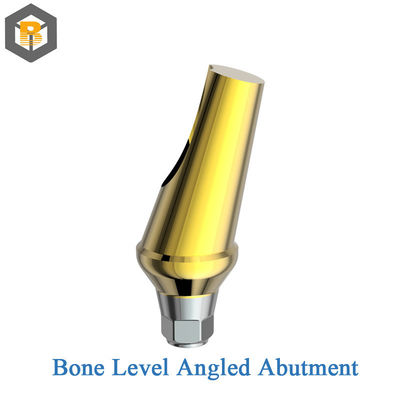 Ondergedompeld type Intern Hex Titanium Implantat botniveau Tandheelkundig Implantat Compatibel met Custom 3D Design