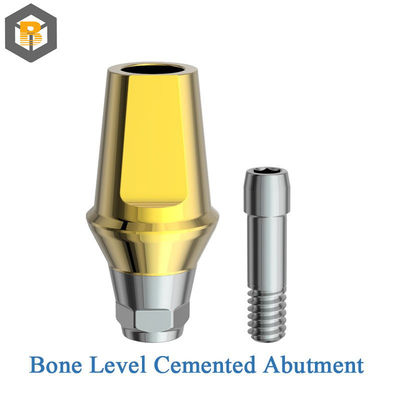 Ondergedompeld type Intern Hex Titanium Implantat botniveau Tandheelkundig Implantat Compatibel met Custom 3D Design